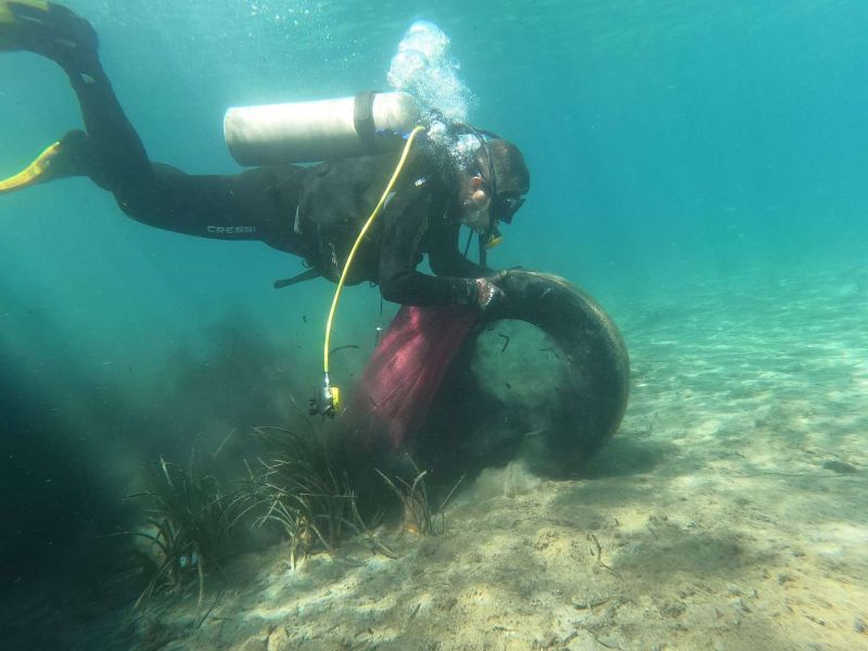 YALIKAVAK’TA DENİZ DİBİ TEMİZLİĞİ