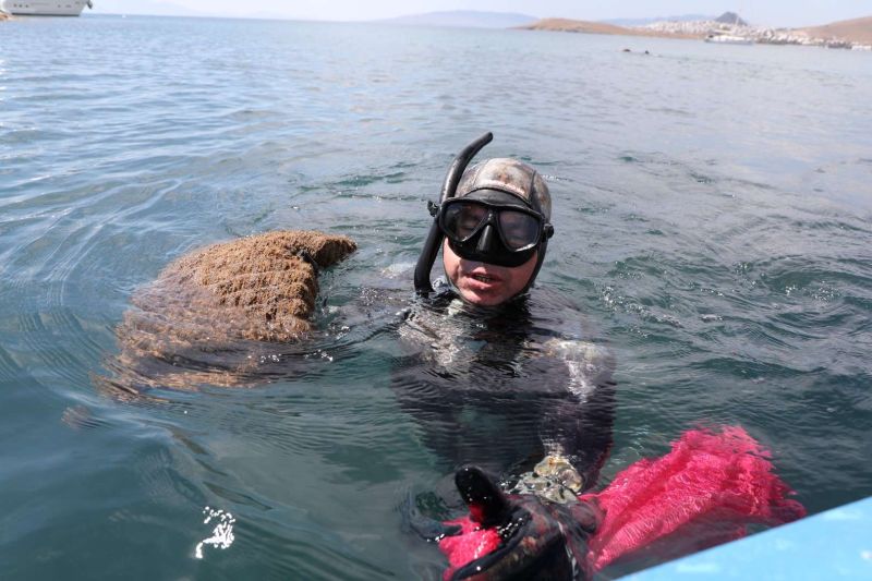 PRESERVING BODRUM'S BLUE: FOURTH STAGE OF SEAFLOOR CLEANING IN ORTAKENT
