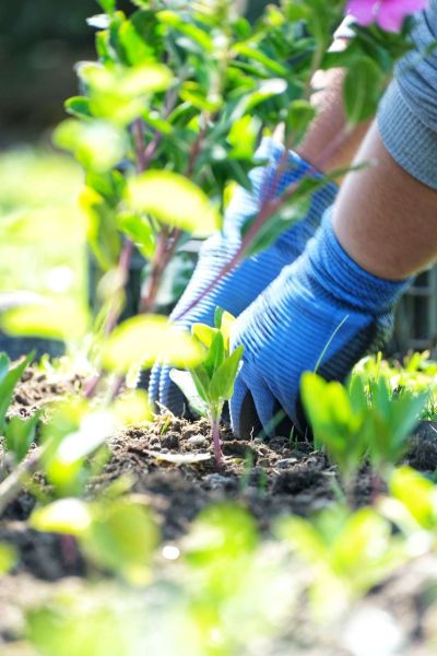 KAVŞAK VE REFÜJLERE YAZ DOKUNUŞLARI