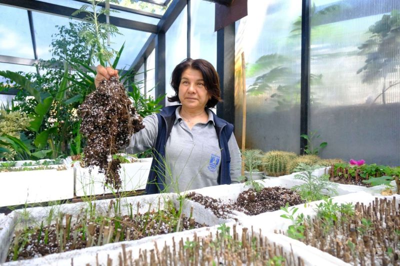 KAVŞAK VE REFÜJLERE YAZ DOKUNUŞLARI