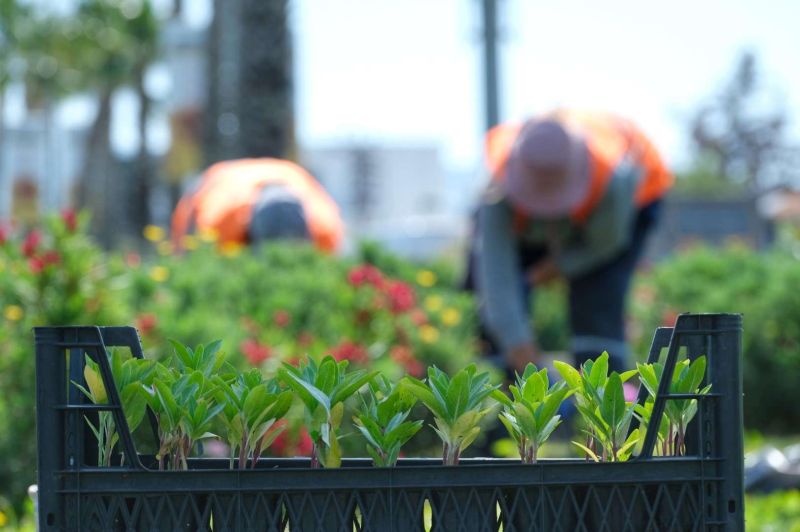 KAVŞAK VE REFÜJLERE YAZ DOKUNUŞLARI