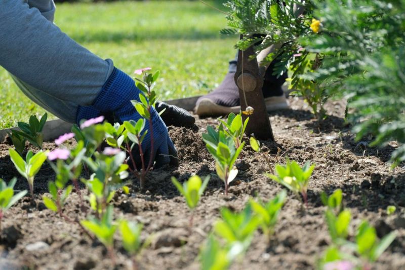 KAVŞAK VE REFÜJLERE YAZ DOKUNUŞLARI
