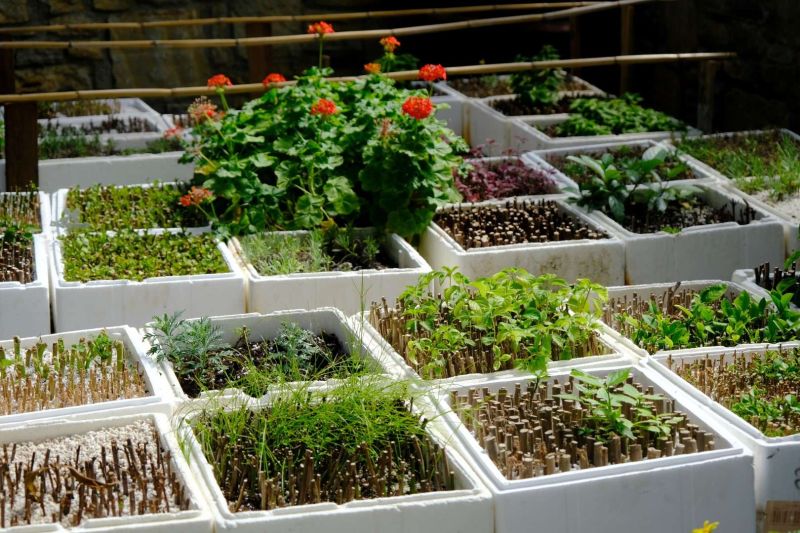 KAVŞAK VE REFÜJLERE YAZ DOKUNUŞLARI