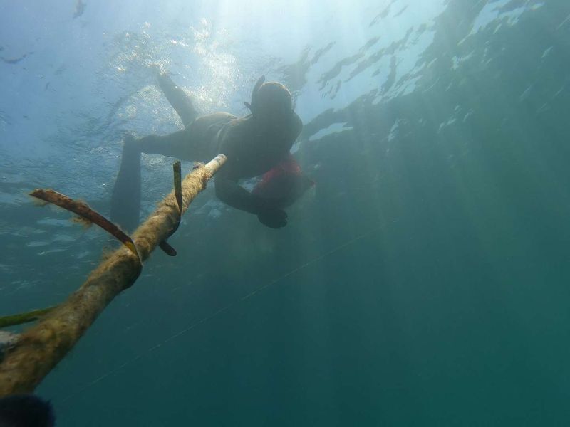 GÜMÜŞLÜK’TE DENİZ DİBİ TEMİZLİĞİ