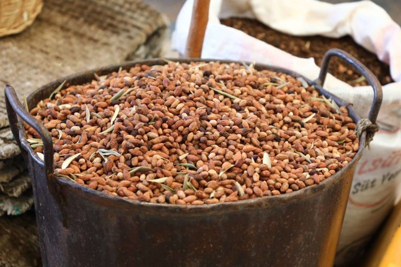 DÖRDÜNCÜ GENÇLİK VE TARIM KAMPI'NIN BİRİNCİ DÖNEMİ TAMAMLANDI