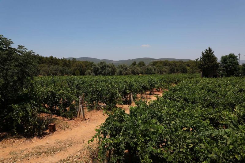 DÖRDÜNCÜ GENÇLİK VE TARIM KAMPI'NIN BİRİNCİ DÖNEMİ TAMAMLANDI