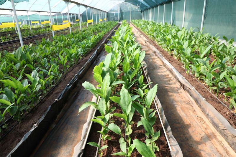 DÖRDÜNCÜ GENÇLİK VE TARIM KAMPI'NIN BİRİNCİ DÖNEMİ TAMAMLANDI