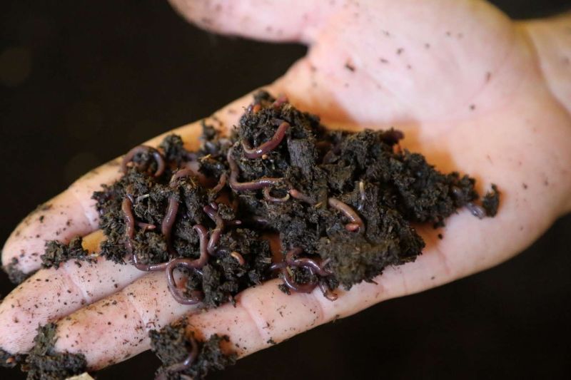 DÖRDÜNCÜ GENÇLİK VE TARIM KAMPI'NIN BİRİNCİ DÖNEMİ TAMAMLANDI