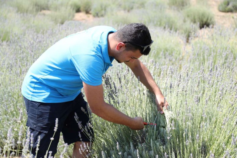 DÖRDÜNCÜ GENÇLİK VE TARIM KAMPI'NIN BİRİNCİ DÖNEMİ TAMAMLANDI