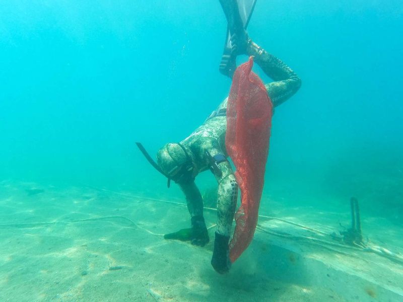 TÜRKBÜKÜ’NDE DENİZ DİBİ TEMİZLİĞİ