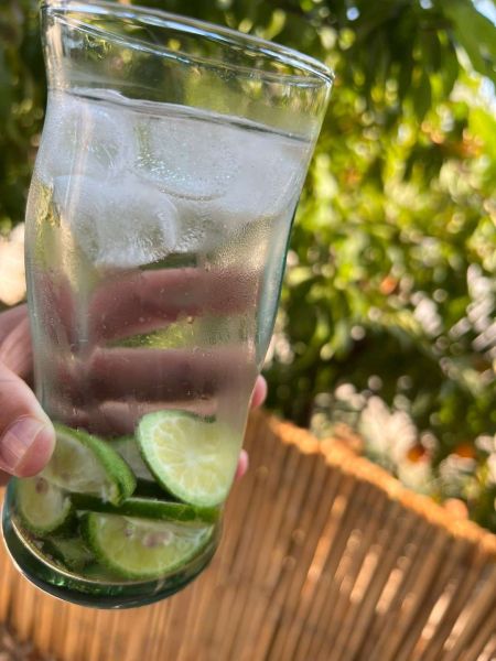 ŞİMDİ “YEŞİL BODRUM MANDALİNİ” ZAMANI