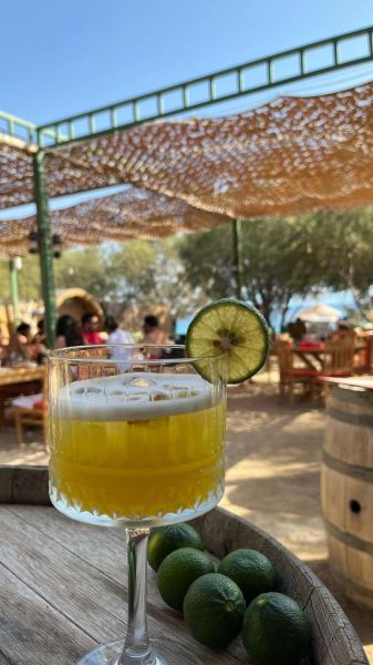 ŞİMDİ “YEŞİL BODRUM MANDALİNİ” ZAMANI