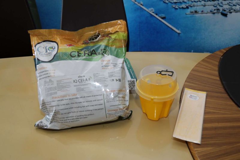 ŞİMDİ “YEŞİL BODRUM MANDALİNİ” ZAMANI