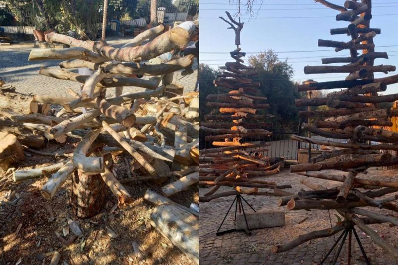 BELEDİYEDEN ÇEVRE DOSTU YENİ YIL AĞAÇLARI