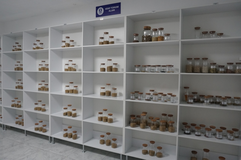 ATA TOHUMLARINI VATANDAŞLARIMIZA DAĞITTIK