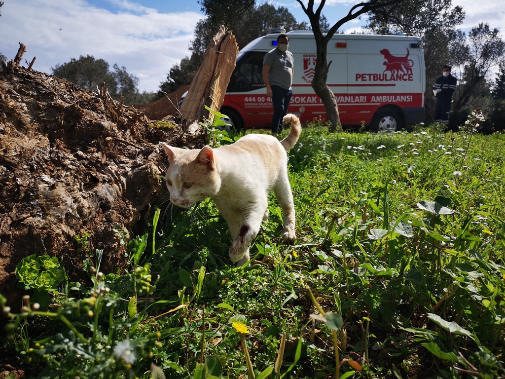 PETBULANCE HİZMETE GİRDİ