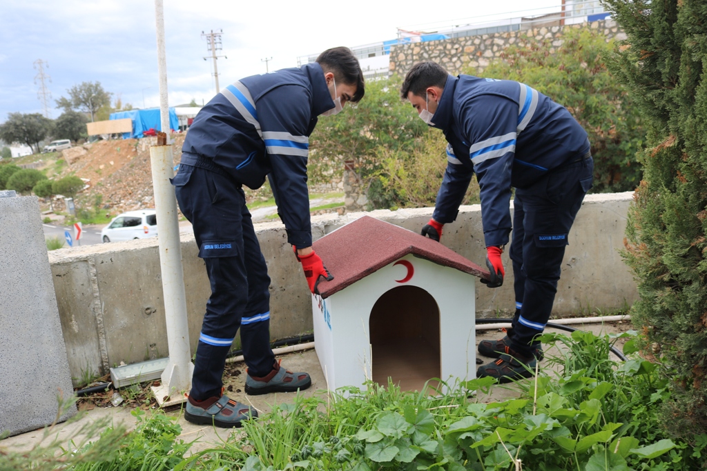 SOKAK HAYVANLARI İÇİN SEVGİ ÇATISI PROJESİNİ HAYATA GEÇİRDİK
