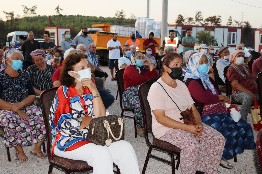 YANGINDA ZARAR GÖRMÜŞ ZEYTİN AĞAÇLARININ SAĞLIKLI GELİŞMESİ İÇİN ÇALIŞMA YAPTIK