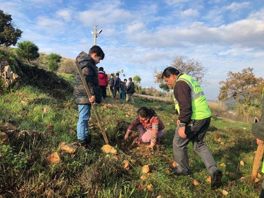 40 ADET ZEYTİN FİDANINI TOPRAKLA BULUŞTURDUK