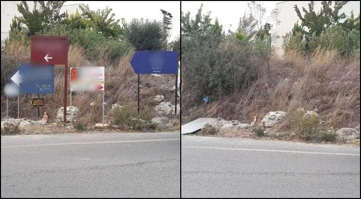 İZİNSİZ ASILMIŞ REKLAM TABELASI VE YÖNLENDİRME LEVHALARI KALDIRILDI