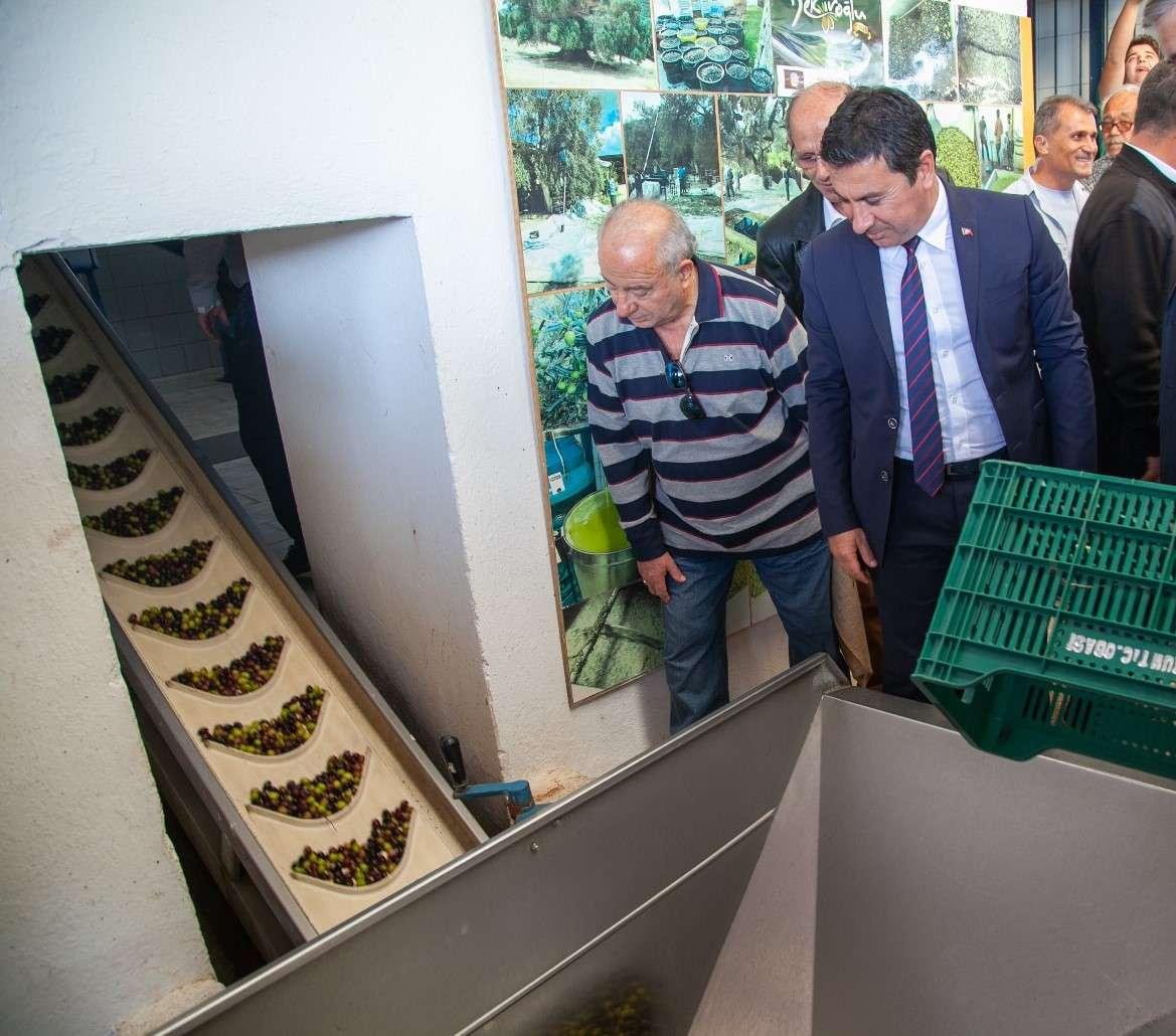 BELEDİYEMİZE AİT ARAZİLERDEKİ ZEYTİNLERİ EKONOMİYE KAZANDIRDIK