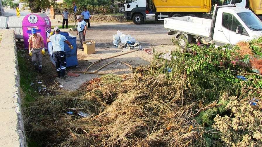 BODRUM'DA DOĞA KAZANACAK SEFERBERLİĞİ BAŞLADI