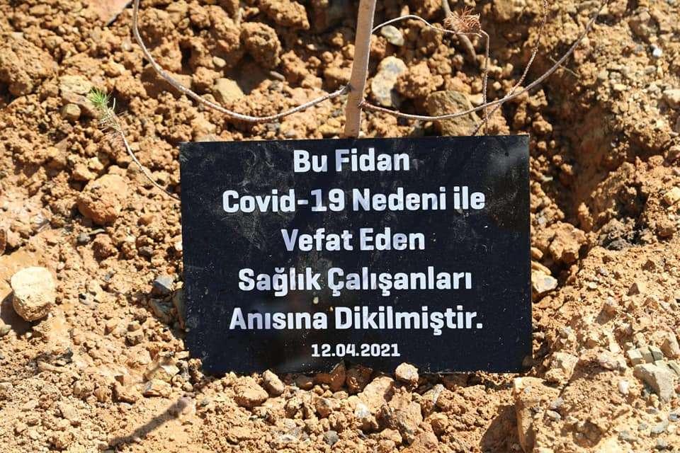 DÜNYA SAĞLIK HAFTASI KAPSAMINDA FİDAN DİKİM ETKİNLİĞİ GERÇEKLEŞTİRİLDİ