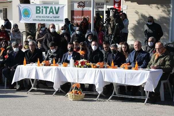 15. BODRUM MANDALİNA HASAT FESTİVALİ GERÇEKLEŞTİ