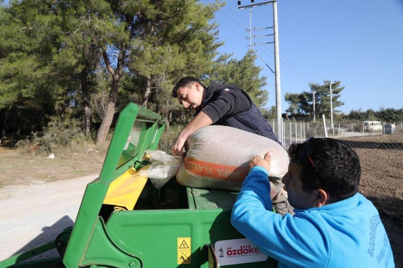 KARAKILÇIK BUĞDAY EKİMİ YAPIYORUZ