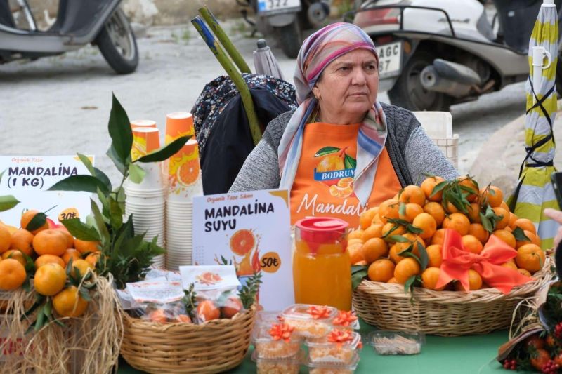 BODRUM MANDALİN FESTİVALİ DÜZENLENDİ
