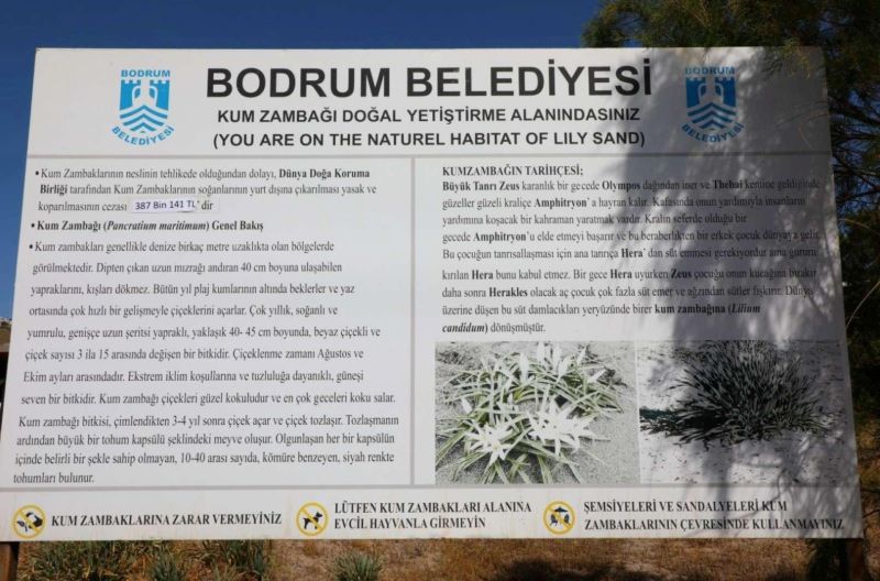 ÖĞRENCİLERE KUM ZAMBAĞI FARKINDALIK ETKİNLİĞİ DÜZENLEDİK