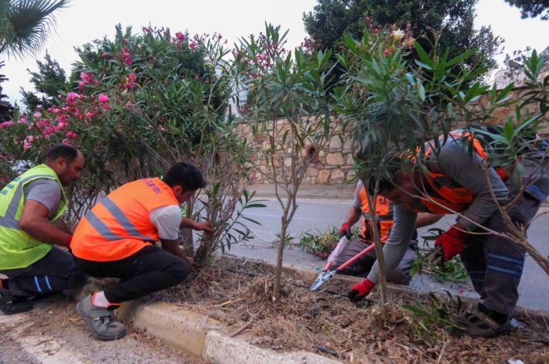 56 MAHALLEDE KOORDİNELİ TEMİZLİK VE BAKIM ÇALIŞMASI GERÇEKLEŞTİRİLDİ