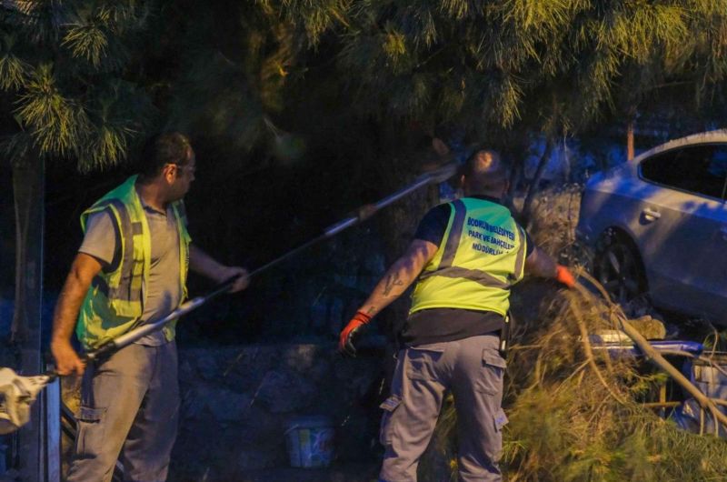 56 MAHALLEDE KOORDİNELİ TEMİZLİK VE BAKIM ÇALIŞMASI GERÇEKLEŞTİRİLDİ