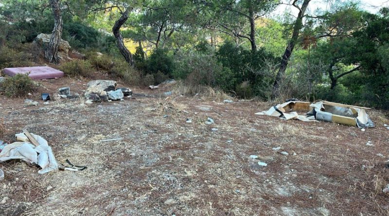 ORMANLIK BÖLGELERDE TEMİZLİK ÇALIŞMALARI YAPILDI
