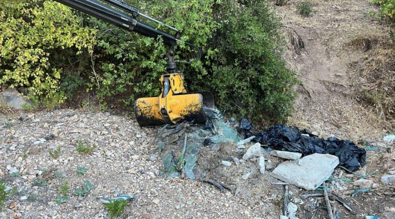 ORMANLIK BÖLGELERDE TEMİZLİK ÇALIŞMALARI YAPILDI