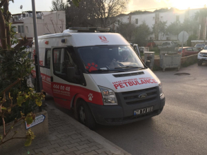 PETBULANCE HİZMETE GİRDİ