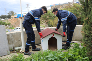 SOKAK HAYVANLARI İÇİN SEVGİ ÇATISI PROJESİNİ HAYATA GEÇİRDİK