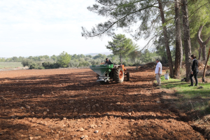 İKLİM KRİZİ FARKINDALIĞI İÇİN BUĞDAY VE KANOLA EKİMİNİ YAPTIK