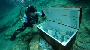 BLUE EXILE ART PROJECT SU ALTI SERGİSİ AÇILDI