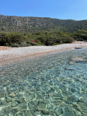 ADA VE KOYLARDA TEMİZLİK YAPTIK