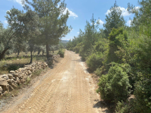 YENİKÖY MAHALLESİ'NDE STABİLİZE YOL ÇALIŞMALARIMIZ TAMAMLANDI