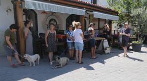 GEZİCİ VETERİNER EKİBİMİZ BİTEZ MAHALLESİ'NDE SAĞLIK KONTROLLERİ YAPTI