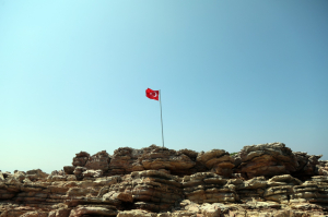 ADA VE KOYLARIMIZI TÜRK BAYRAKLARIYLA DONATIYORUZ