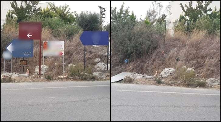 İZİNSİZ ASILMIŞ REKLAM TABELASI VE YÖNLENDİRME LEVHALARI KALDIRILDI