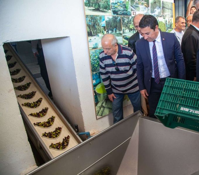BELEDİYEMİZE AİT ARAZİLERDEKİ ZEYTİNLERİ EKONOMİYE KAZANDIRDIK