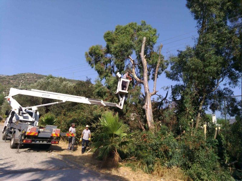 TÜM MAHALLELERİMİZDE YOL KENARI VE REFÜJLERDE TEMİZLİK, BUDAMA VE SULAMA ÇALIŞMALARI YAPILDI