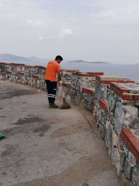 BODRUM - HAVAALANI YOL GÜZERGAHINDA TEMZİLİK ÇALIŞMASI YAPILDI
