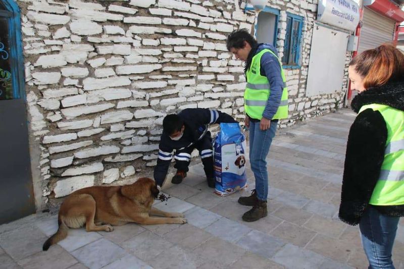 PANDEMİDE SOKAK HAYVANLARINA MAMA DESTEĞİ SAĞLADIK