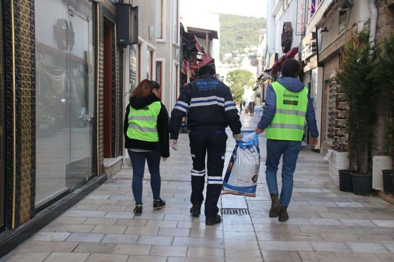 PANDEMİDE SOKAK HAYVANLARINA MAMA DESTEĞİ SAĞLADIK