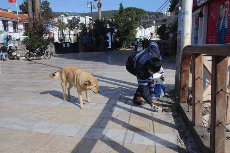 PANDEMİDE SOKAK HAYVANLARINA MAMA DESTEĞİ SAĞLADIK